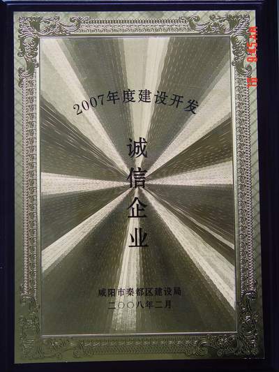 2007Ƚ迪ҵ